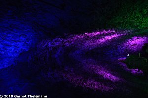 In einem ganz besonderen Licht