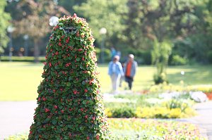 Bad Füssings preisgekrönter Kurpark