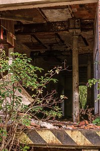 Lost Places im Fokus