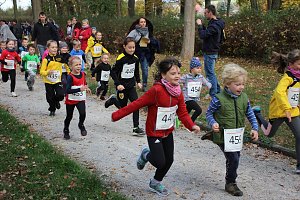Stadtparklauf in Sondershausen (2)