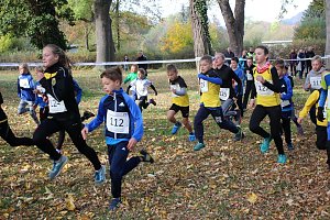 Stadtparklauf in Sondershausen (2)