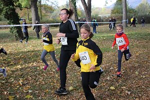 Stadtparklauf in Sondershausen (2)