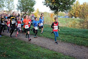 Stadtparklauf in Sondershausen (2)