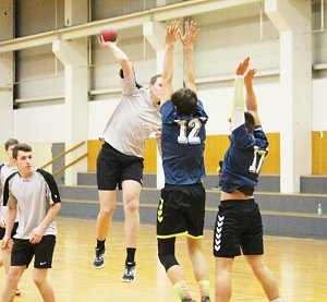 Schulamtsfinale 2019 im Handball