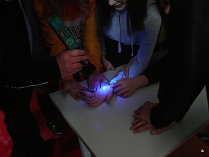 Projekttag