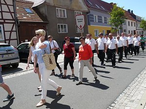 Festumzug in Bildern