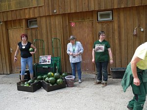 Spende f&uuml;r den B&auml;renpark