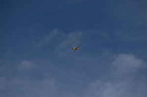 Flugtage bei Hain