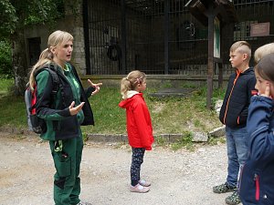 Ferienaktion Wolfsspur