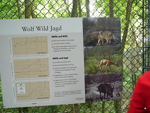 Ferienaktion Wolfsspur
