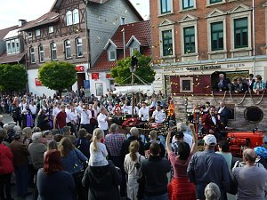 Bilder vom Festumzug