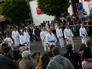 Bilder vom Festumzug Teil 2