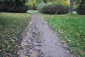 26. Stadtparklauf Sondershausen und...
