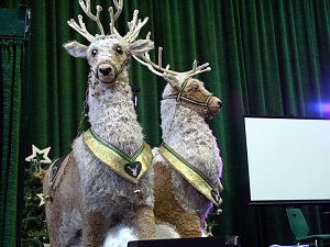 Seniorenweihnachtsfeier in Leinefelde