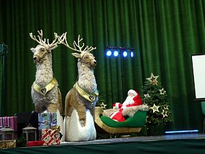 Seniorenweihnachtsfeier in Leinefelde