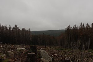 Heiligabend noch schnell auf den Brocken (2019)