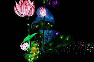 Lichterwelten