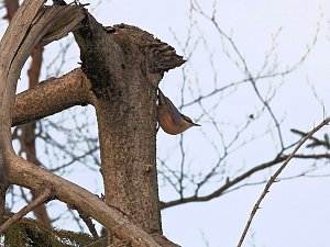 Ausflug zum Josephskreuz