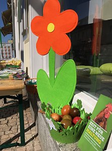 Gr&uuml;ne Osteraktion in Heilbad Heiligenstadt