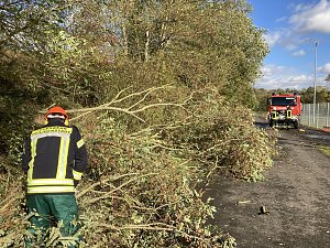 B&auml;ume mussten von der Stra&szlig;e ger&auml;umt werden 