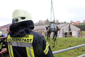 Tierrettung