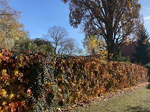 Herbstimpressionen