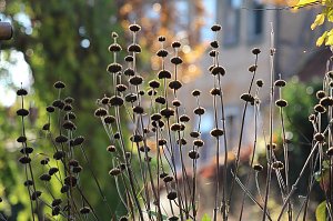 Herbstimpressionen