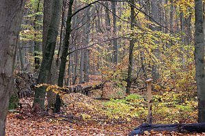 Herbstimpressionen