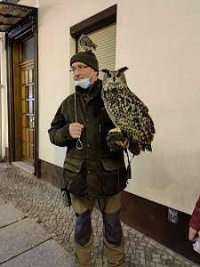 Auf dem Quedlinburger Weihnachtsmarkt