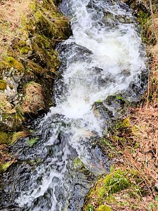 Sonntags in Stiege/Harz