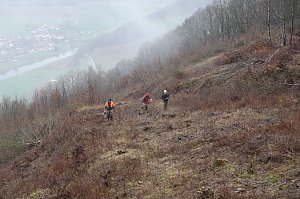 Landschaftspflegeverband f&uuml;hrt Ma&szlig;nahmen durch