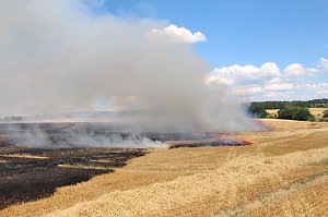 Feldbrand bei Etzelsbach