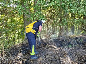 Feldbrand wurde fast zum Waldbrand