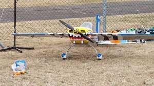 Flugtag des Nordh&auml;user Modellflugvereins