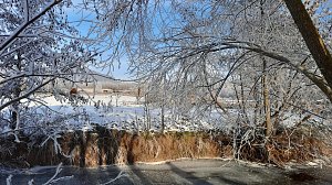 Winterimpressionen, aufgenommen an der Wipper
