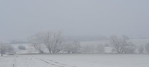 Beim Spaziergang aufgenommen