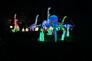 Peter Blei in den magischen Lichterwelten