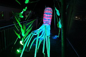 Peter Blei in den magischen Lichterwelten