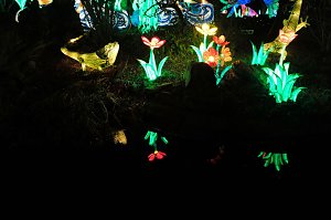Peter Blei in den magischen Lichterwelten