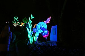 Peter Blei in den magischen Lichterwelten