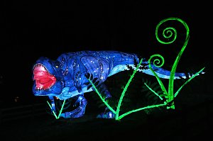 Peter Blei in den magischen Lichterwelten