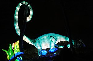 Peter Blei in den magischen Lichterwelten