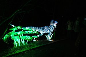 Peter Blei in den magischen Lichterwelten
