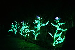 Peter Blei in den magischen Lichterwelten