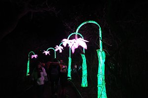 Peter Blei in den magischen Lichterwelten