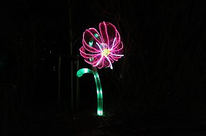 Peter Blei in den magischen Lichterwelten