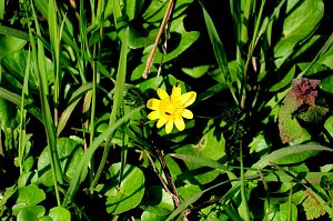 Osterspaziergang im Vorharz