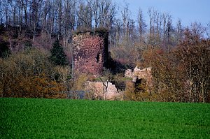 Osterspaziergang im Vorharz