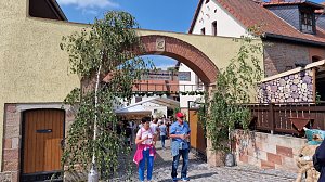 Unterwegs auf der Saale-Weinmeile