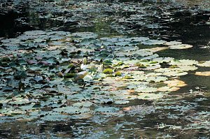 Zillertal Talsperre
